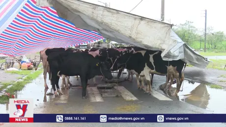 Hà Nam hỗ trợ tín dụng để khôi phục sản xuất