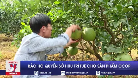 Bảo hộ quyền sở hữu trí tuệ cho sản phẩm OCOP
