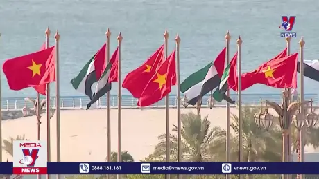 Bản tin thời sự 08h ngày 29/10/2024