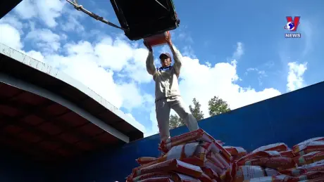 Nhật trình kinh tế ngày 30/10/2024