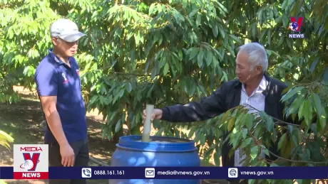 Gia Lai thúc đẩy nông nghiệp bền vững thông qua sử dụng chế phẩm sinh học