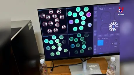 Đường dây nóng 389 ngày 30/10/2024