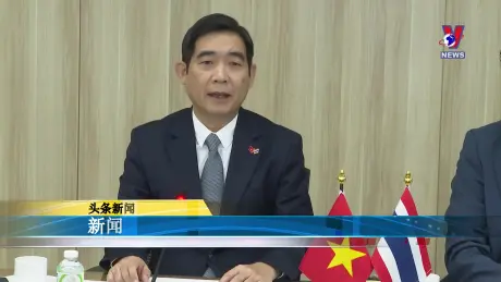 越通社新闻 30/10/2024