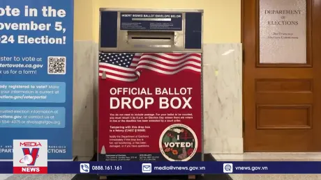 Sức ảnh hưởng của nhóm cử tri gốc Á