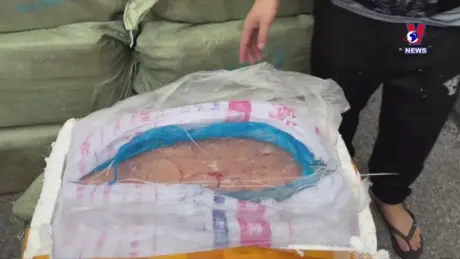 Đường dây nóng 389 ngày 31/10/2024