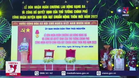 Bản tin thời sự 8h ngày 31/10/2024