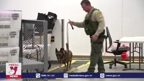 Bảo đảm an ninh phiếu bầu tại Los Angeles