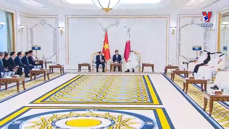 越通社新闻 31/10/2024