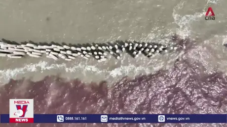 Cứu các thủ đô Đông Nam Á khỏi nguy cơ chìm