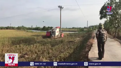 Điểm sáng tích tụ ruộng đất giải quyết tình trạng ruộng bỏ hoang ở Hải Dương