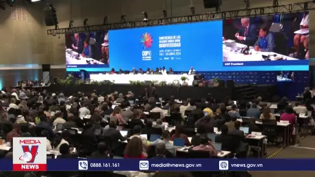 COP16 bất đồng về tài trợ bảo tồn thiên nhiên