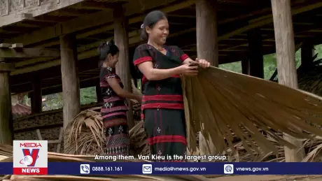 Phim tài liệu: Nghề làm men lá của đồng bào Vân Kiều