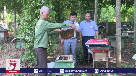 Nuôi ong mật, hướng giảm nghèo bền vững ở miền núi Tân Kỳ
