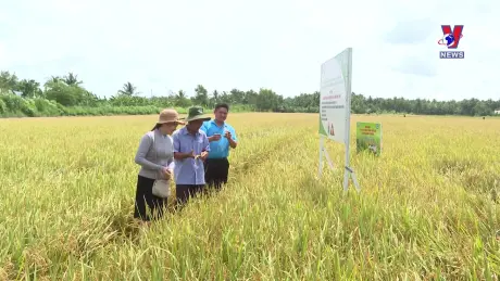 Khoa học và Công nghệ ngày 31/10/2024