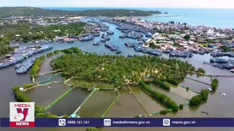 Ngư dân Bình Định gặp khó với Nghị định 37