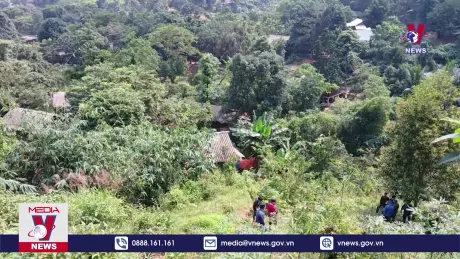 Bản tin thời sự 20h ngày 01/11/2024