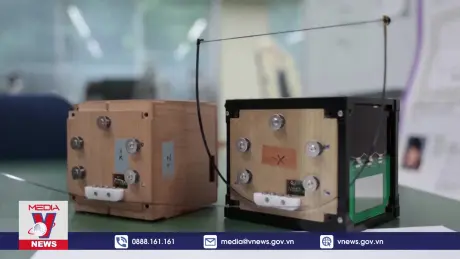 Nhật Bản lên kế hoạch phóng vệ tinh bằng gỗ