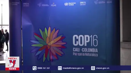 COP16 thành lập cơ quan tham vấn cho người bản địa
