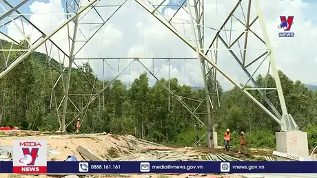 Bản tin thời sự 11h ngày 02/11/2024