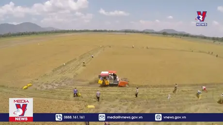 Bản tin thời sự 11h ngày 03/11/2024