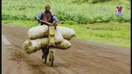 Thông điệp lịch sử: Ngày Quốc tế Khu Dự trữ Sinh quyển