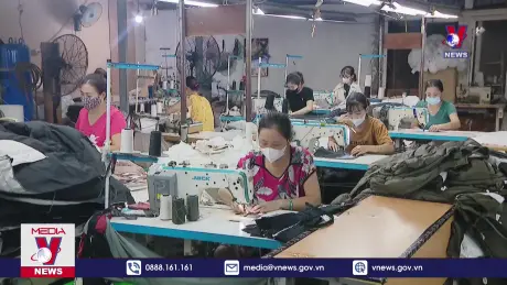 Tránh hình sự hóa hành vi chậm, trốn đóng Bảo hiểm y tế