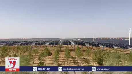 Trung Quốc vượt chỉ tiêu về điện gió và điện mặt trời  