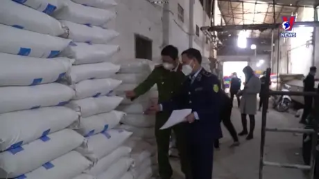 Đường dây nóng 389 ngày 04/11/2024