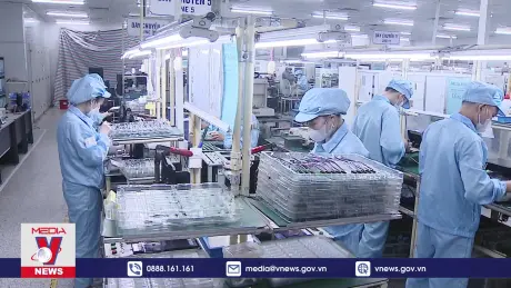 Tăng cường năng lực cho các doanh nghiệp điện tử xuất khẩu