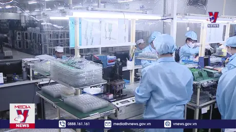 Bản tin thời sự 20h ngày 04/11/2024