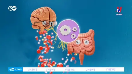 Tạp chí toàn cầu ngày 04/11/2024