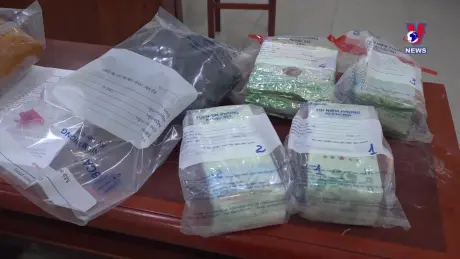 Đường dây nóng 389 ngày 05/11/2024