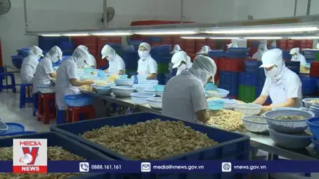45 năm Việt Nam – Thổ Nhĩ Kỳ xây cầu hợp tác