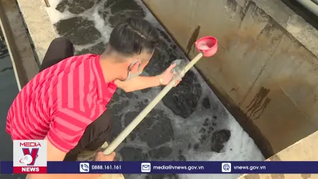 Dệt may Trung Quy tăng tốc trên ‘đường đua xanh’