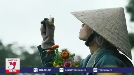 2 phim Việt nhận 4 đề cử tại Liên hoan phim Quốc tế ASEAN