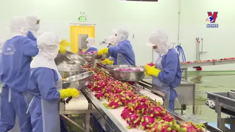 Nhật trình kinh tế ngày 05/11/2024