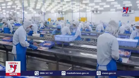 Bản tin thời sự 20h ngày 05/11/2024