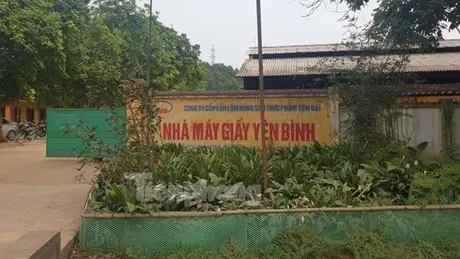 Tai nạn chết người tại nhà máy giấy Yên Bình