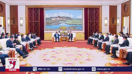 Thủ tướng tiếp Bí thư Tỉnh uỷ Vân Nam, Trung Quốc