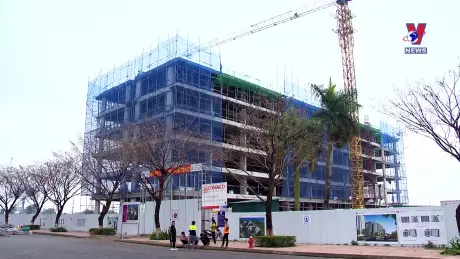 Nhật trình kinh tế ngày 07/11/2024