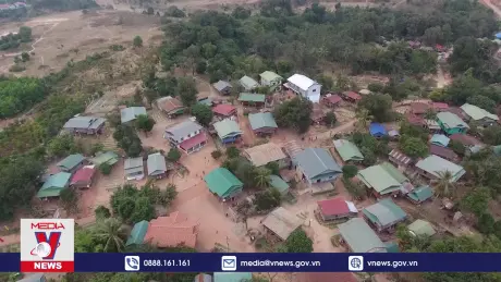 Phim tài liệu: Mùa chổi đót ở bản Hà Liệt