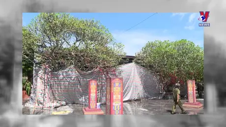 Văn hóa toàn cảnh ngày 07/11/2024