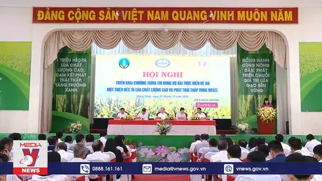 Tín dụng ưu đãi thực hiện Đề án 1 triệu ha lúa 