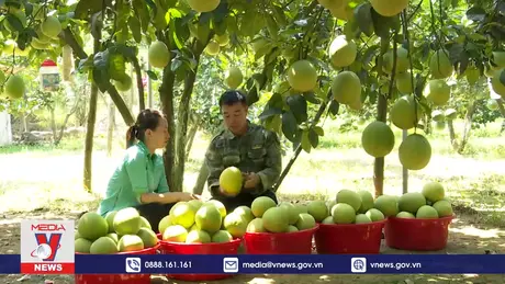 Nhiều sản phẩm OCOP vẫn đi tìm đầu ra