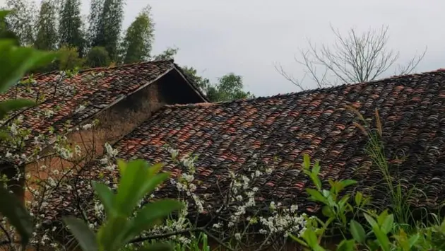 Làng cổ gần 200 năm tuổi trước nguy cơ bị “xóa sổ”
