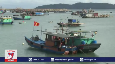 Cô Tô hướng tới khu du lịch xanh sạch đẹp