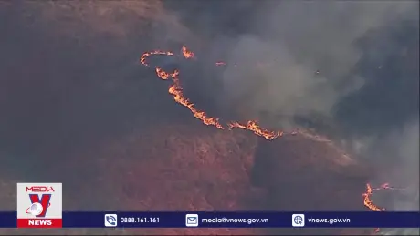 Cháy rừng bất thường ở New York, Mỹ