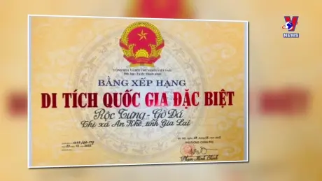 Khoảnh khắc & Sự kiện ngày 11/11/2024