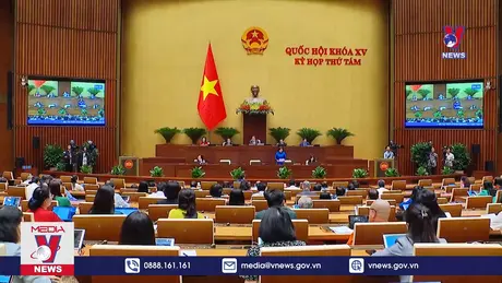 Bản tin thời sự 20h ngày 11/11/2024