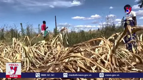 Tầm quan trọng của tài chính khí hậu